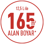 12 kilo 165m2 alan boyar