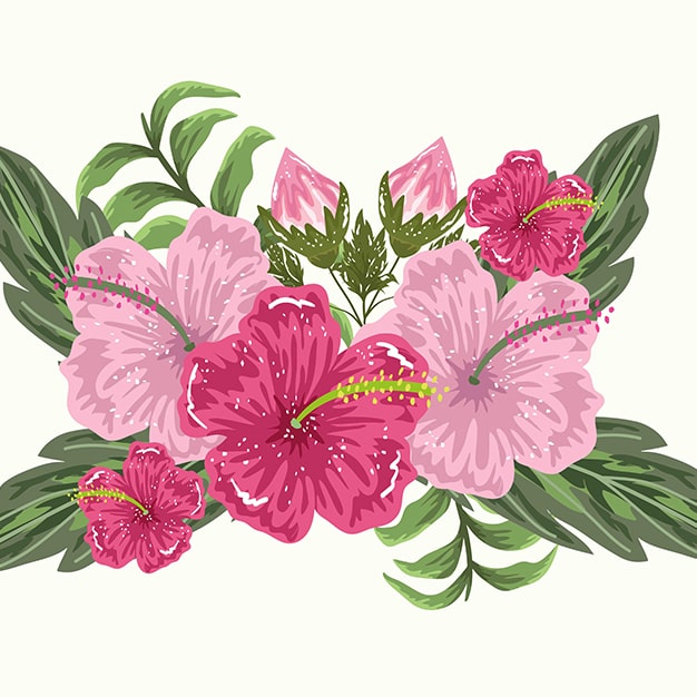 illustrasyon çiçek
